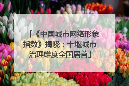 《中国城市网络形象指数》揭晓：十堰城市治理维度全国居首
