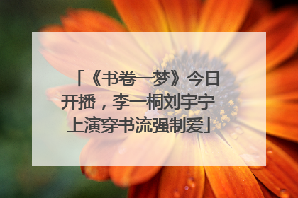 《书卷一梦》今日开播，李一桐刘宇宁上演穿书流强制爱