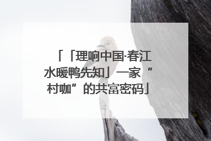 「理响中国·春江水暖鸭先知」一家“村咖”的共富密码
