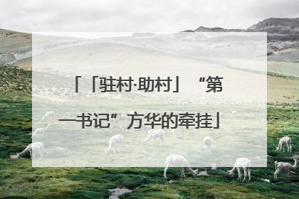 「驻村·助村」“第一书记”方华的牵挂