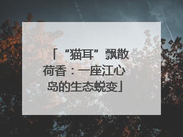 “猫耳”飘散荷香：一座江心岛的生态蜕变