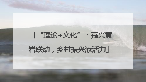 “理论+文化”：嘉兴黄岩联动，乡村振兴添活力