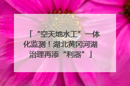 “空天地水工”一体化监测！湖北黄冈河湖治理再添“利器”