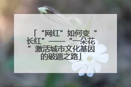 “网红”如何变“长红”——“一朵花”激活城市文化基因的破题之路
