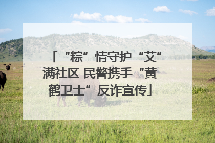 “粽”情守护“艾”满社区 民警携手“黄鹤卫士”反诈宣传