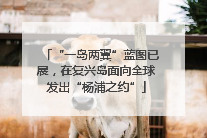 “一岛两翼”蓝图已展，在复兴岛面向全球发出“杨浦之约”