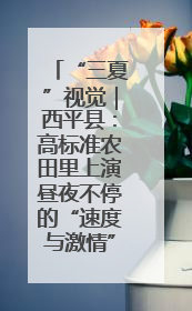 “三夏”视觉｜西平县：高标准农田里上演昼夜不停的“速度与激情”