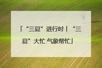 “三夏”进行时丨“三夏”大忙 气象帮忙