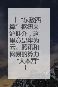 “东数西算”枢纽来沪推介，这里竟是华为云、腾讯和网易的算力“大本营”