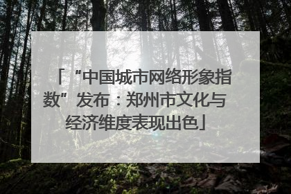 “中国城市网络形象指数”发布：郑州市文化与经济维度表现出色