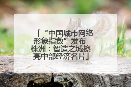 “中国城市网络形象指数”发布 株洲：智造之城擦亮中部经济名片