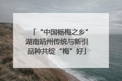 “中国杨梅之乡”湖南靖州传统与新引品种共绽“梅”好