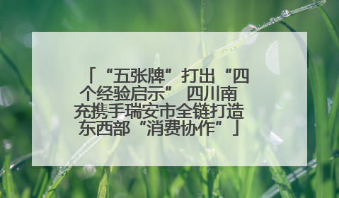 “五张牌”打出“四个经验启示” 四川南充携手瑞安市全链打造东西部“消费协作”