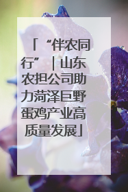 “伴农同行”｜山东农担公司助力菏泽巨野蛋鸡产业高质量发展