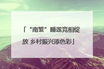 “南繁”睡莲竞相绽放 乡村振兴添色彩