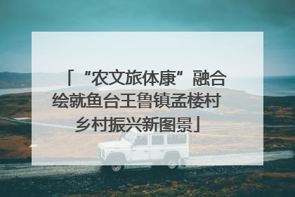 “农文旅体康”融合绘就鱼台王鲁镇孟楼村乡村振兴新图景