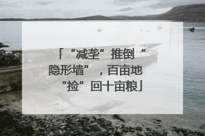 “减垄”推倒“隐形墙”，百亩地“捡”回十亩粮