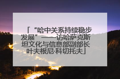 “哈中关系持续稳步发展”——访哈萨克斯坦文化与信息部副部长叶夫根尼·科切托夫