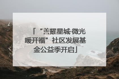 “善耀星城·微光暖开福”社区发展基金公益季开启