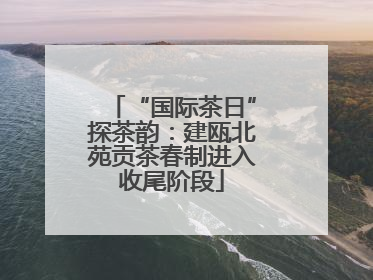 “国际茶日”探茶韵：建瓯北苑贡茶春制进入收尾阶段