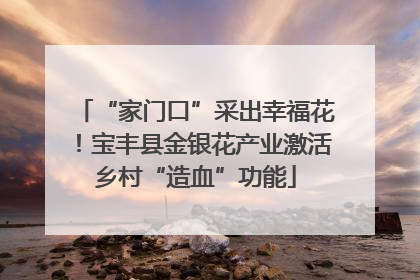 “家门口”采出幸福花！宝丰县金银花产业激活乡村“造血”功能