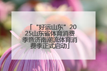 “好运山东”2025山东省体育消费季暨济南潮流体育消费季正式启动