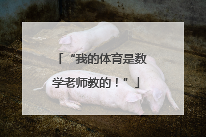 “我的体育是数学老师教的！”