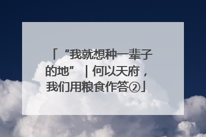 “我就想种一辈子的地”｜何以天府，我们用粮食作答②