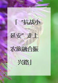 “抗战小延安”走上农旅融合振兴路