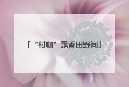 “村咖”飘香田野间