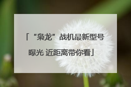 “枭龙”战机最新型号曝光 近距离带你看