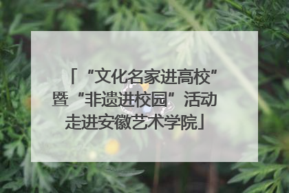 “文化名家进高校”暨“非遗进校园”活动走进安徽艺术学院