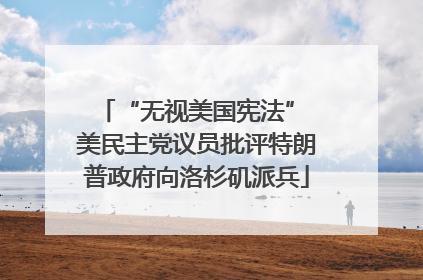 “无视美国宪法” 美民主党议员批评特朗普政府向洛杉矶派兵