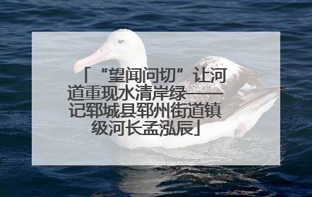 “望闻问切”让河道重现水清岸绿——记郓城县郓州街道镇级河长孟泓辰