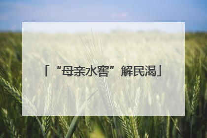 “母亲水窖”解民渴