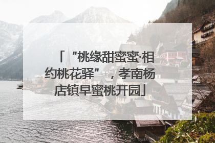 “桃缘甜蜜蜜·相约桃花驿”，孝南杨店镇早蜜桃开园