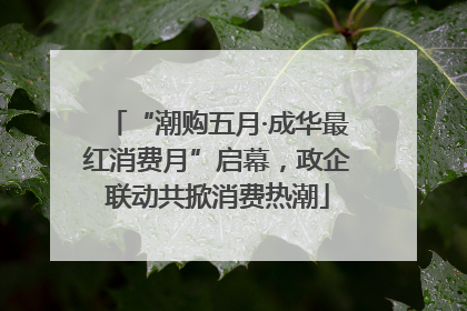 “潮购五月·成华最红消费月”启幕，政企联动共掀消费热潮