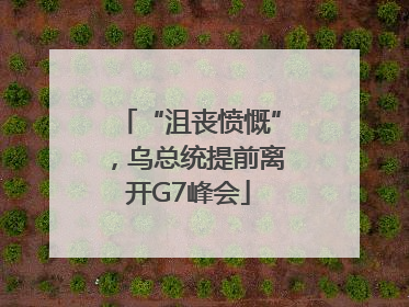 “沮丧愤慨”，乌总统提前离开G7峰会