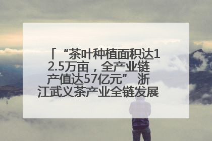 “茶叶种植面积达12.5万亩，全产业链产值达57亿元” 浙江武义茶产业全链发展“加速度”
