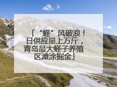 “蛏”风破浪！日供应量上万斤，青岛最大蛏子养殖区滩涂掘金