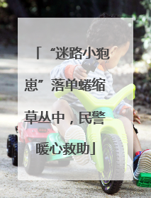 “迷路小狍崽”落单蜷缩草丛中，民警暖心救助