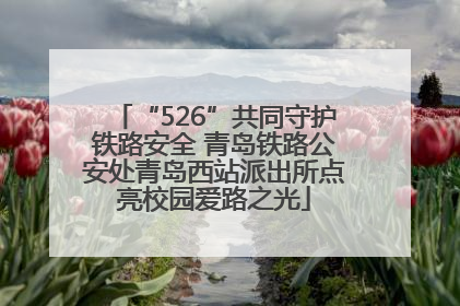 “526”共同守护铁路安全 青岛铁路公安处青岛西站派出所点亮校园爱路之光