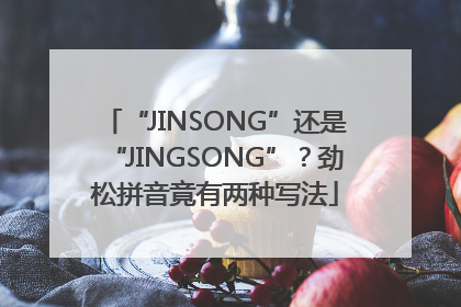“JINSONG”还是“JINGSONG”？劲松拼音竟有两种写法