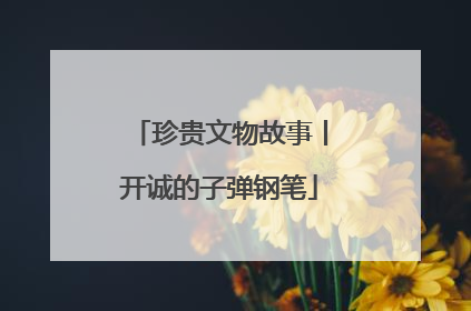 珍贵文物故事丨开诚的子弹钢笔