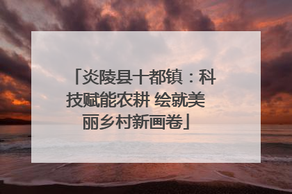 炎陵县十都镇：科技赋能农耕 绘就美丽乡村新画卷