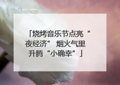 烧烤音乐节点亮“夜经济” 烟火气里升腾“小确幸”