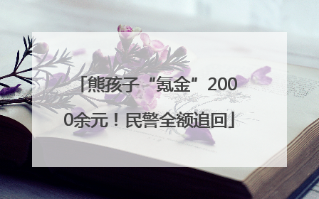 熊孩子“氪金”2000余元！民警全额追回