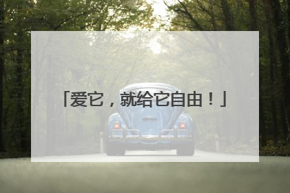 爱它，就给它自由！