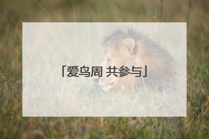 爱鸟周 共参与