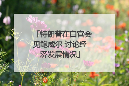 特朗普在白宫会见鲍威尔 讨论经济发展情况